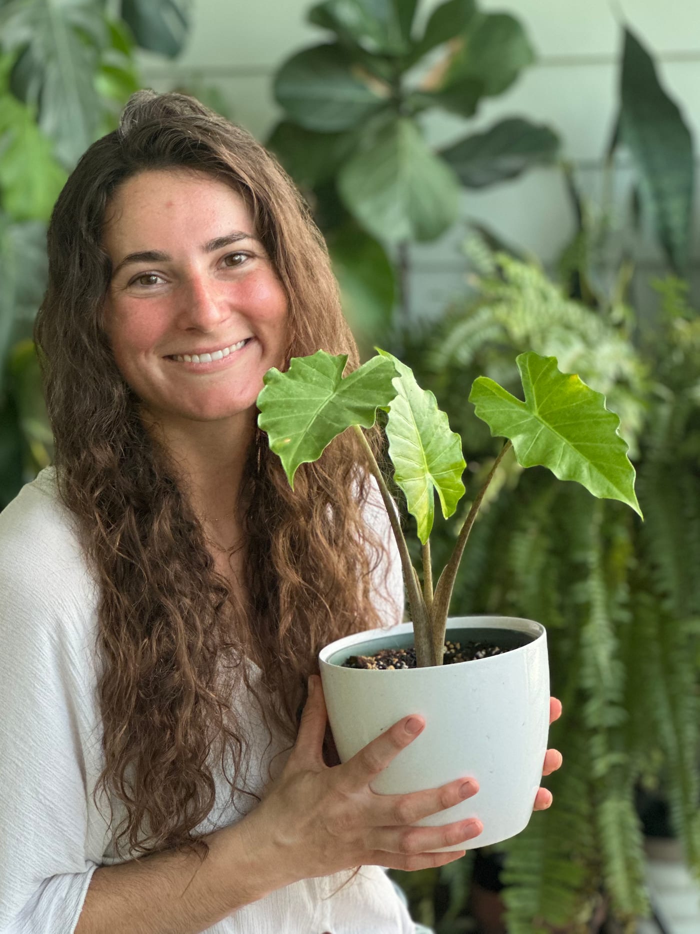 Jaci Brumble holding a young potted plant with large arrow-shaped leaves, in front of a fiddle-leaf fig and a Boston fern